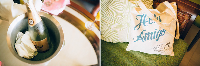 F+J Jellyfish Punta Cana Wedding-001