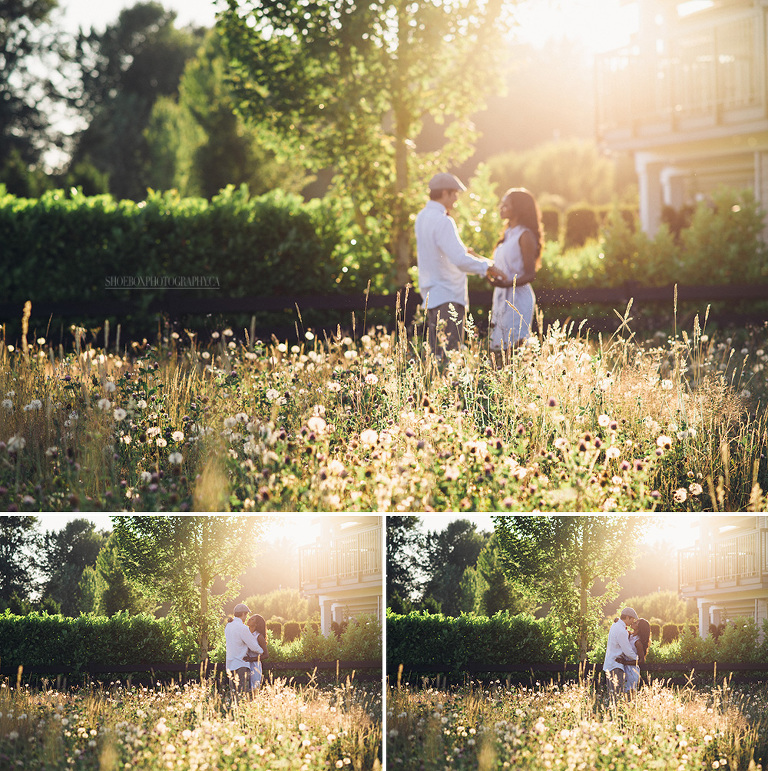 engagement photos in a flower field