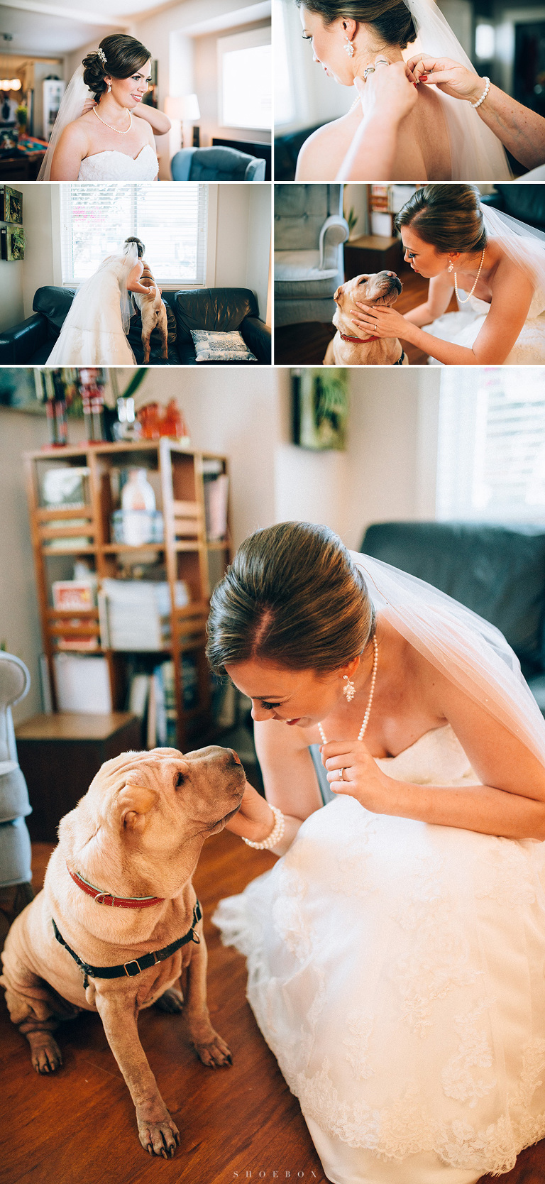 bride and her dog