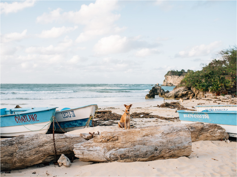 dominican republic macao beach