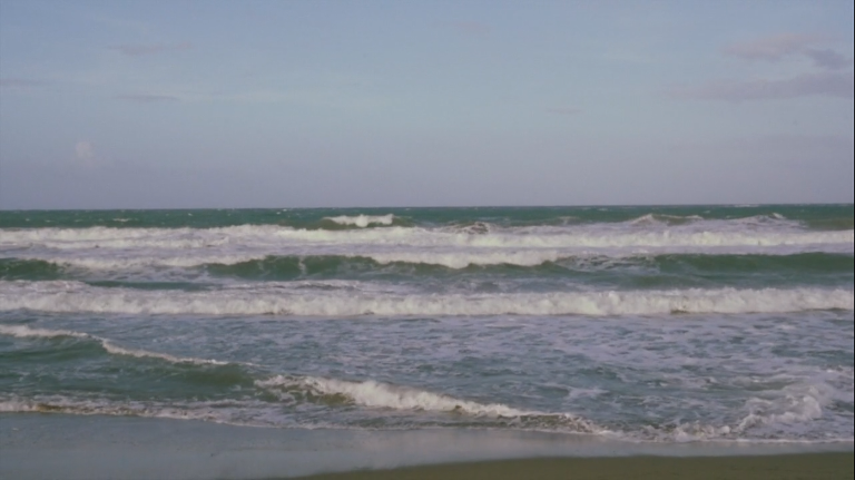 dominican republic wedding film dileiny todd shoebox films