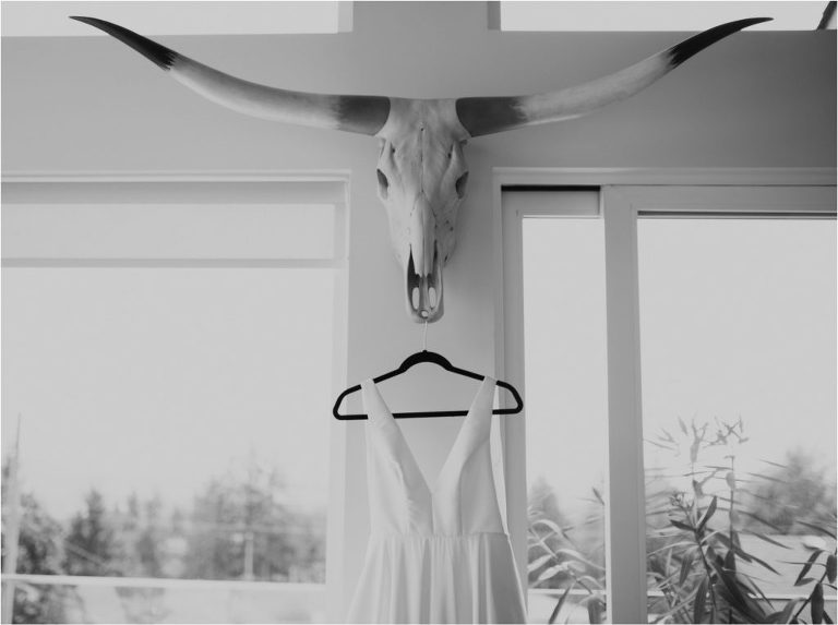 animal skull wedding dress pnw