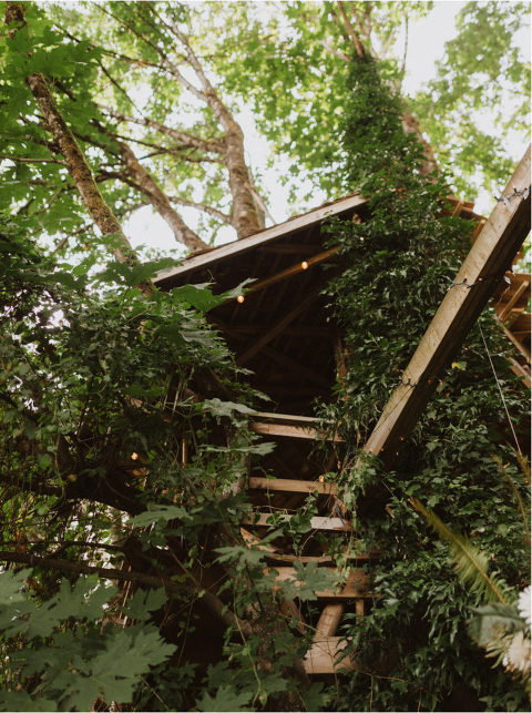 mission bc backyard wedding treehouse
