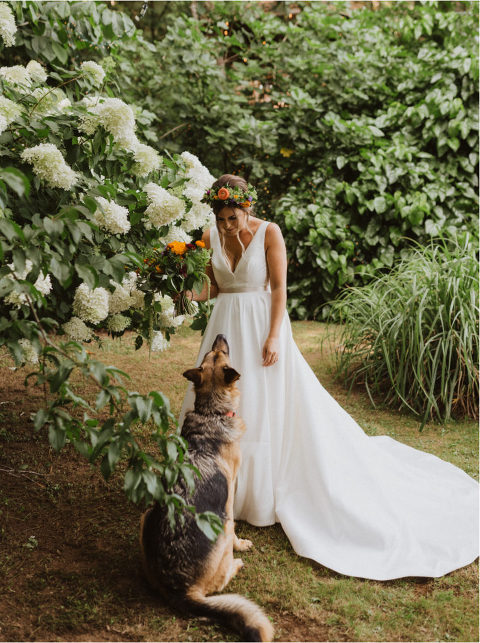 bride and dog