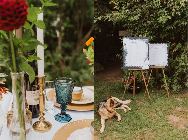 mission bc backyard wedding